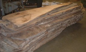 English Walnut